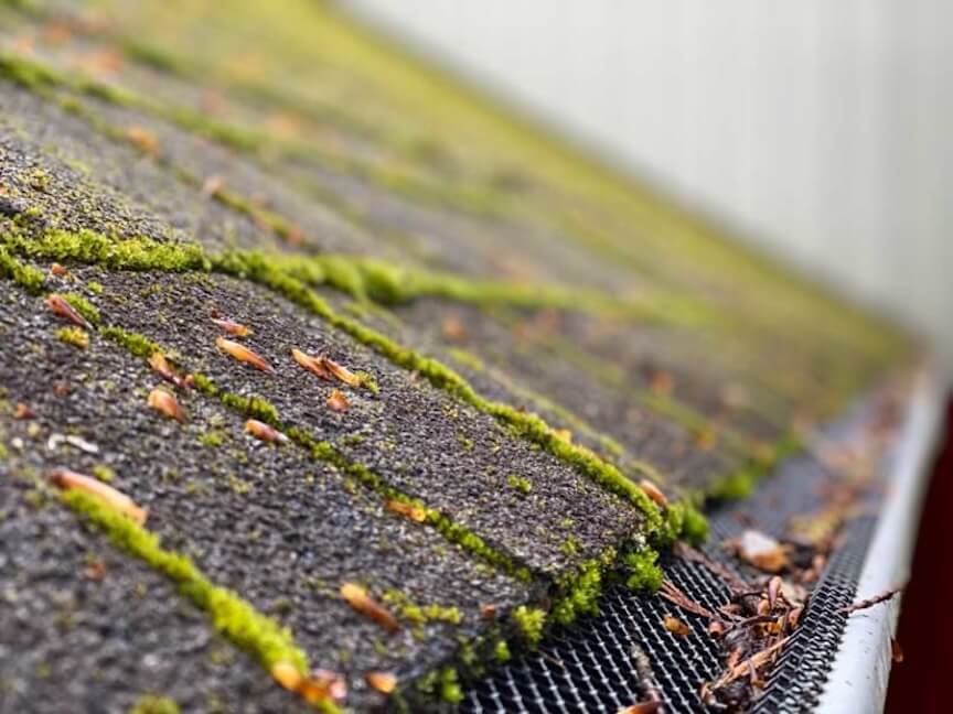 A person using a tool to scrape moss off of a roof