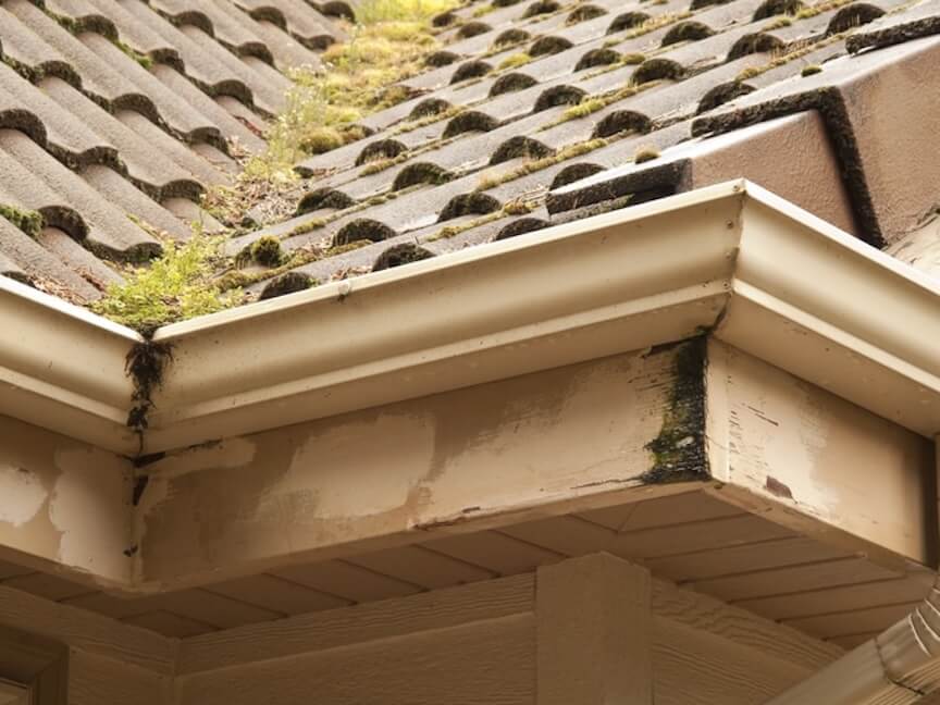 Signs of Bad Gutters: What to Look For
