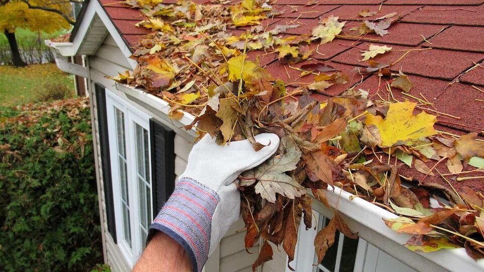 A close-up of a gutter overflowing with debris, leaves, and stagnant water